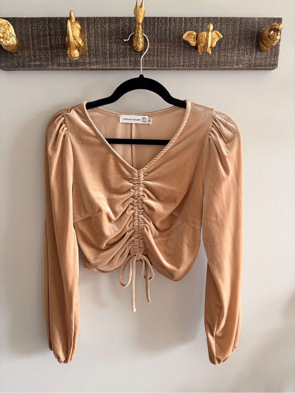 Vintage Charm Ruched Velvet Long Sleeve Top